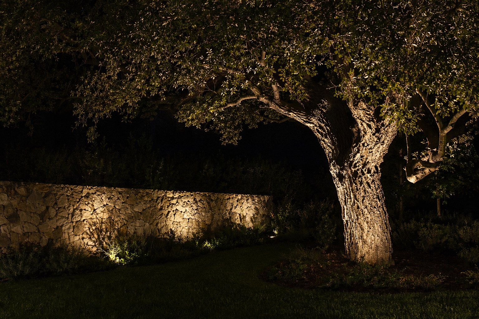 Solar path lights illuminating a curved garden walkway at night