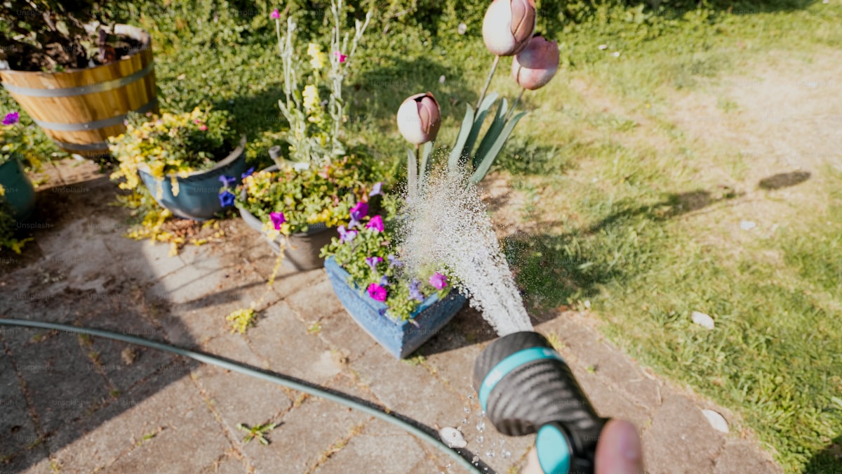 5 Best Garden Hose Nozzles and Sprayers (2026)