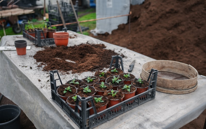 Close-up of hands using a drill to attach boards at the corner of a raised garden bed frame