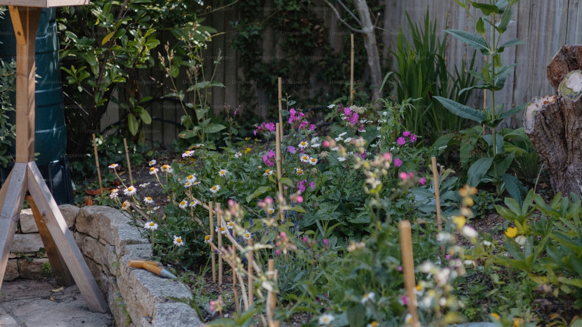 How to Build a Raised Garden Bed on a Budget