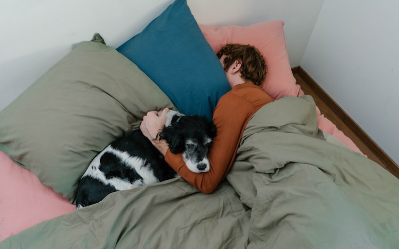Dog resting comfortably in a crate with the door open and a cozy blanket