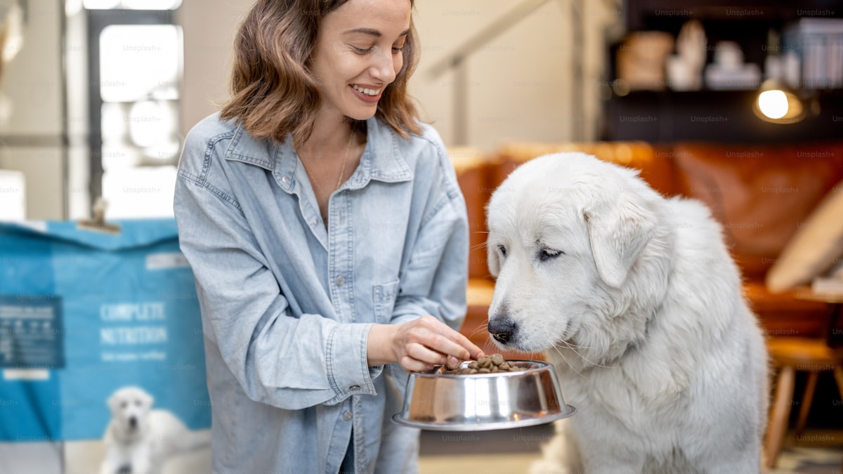How to Choose the Right Dog Food (A No-Nonsense Guide)