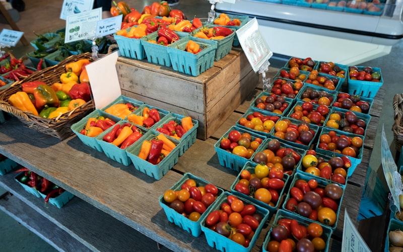 A row of fabric grow bags on a sunny deck, each containing a thriving pepper plant with green and red peppers visible among the foliage