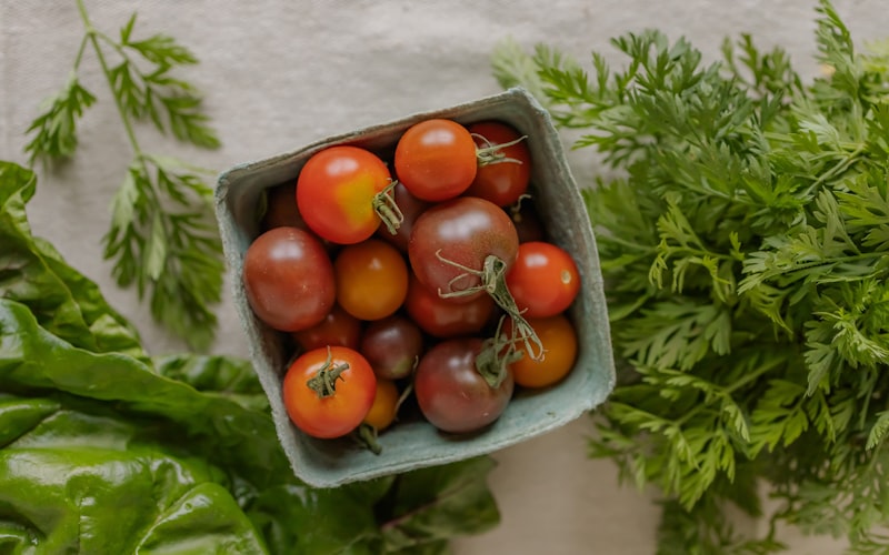 A harvest basket filled with freshly picked peppers of various colors and types, including red bells, green jalapenos, and orange habaneros, sitting next to potted pepper plants