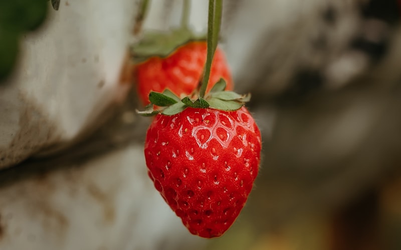Multiple strawberry plants growing in a tiered strawberry planter on a small apartment balcony