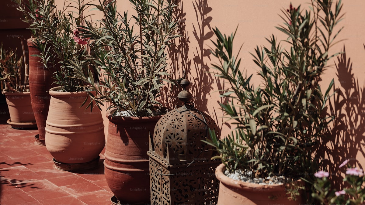 How to Grow Strawberries in Pots (Even on a Balcony)