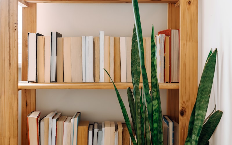 finished floating shelves on a living room wall with books and decorative items