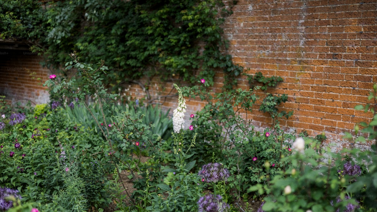 How to Keep Deer Out of Your Garden (What Actually Works)