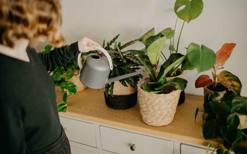 Cotton string wicking system connecting a water jar to a potted plant
