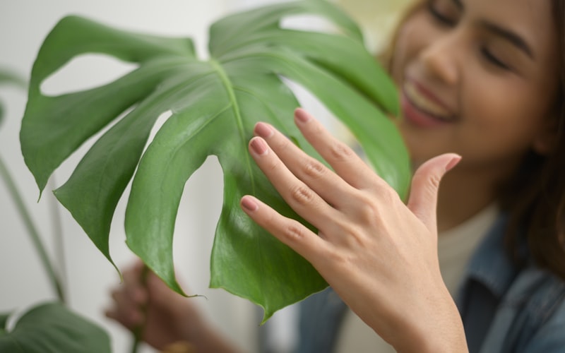 Hands pinching the growing tip off a houseplant stem, with new growth visible at lower nodes