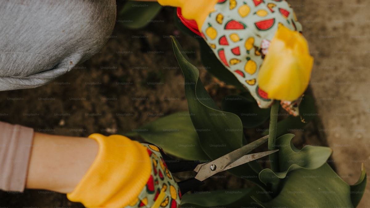 How to Prune Your Plants for Bigger, Healthier Growth