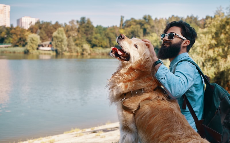 A dog owner applying a topical tick prevention treatment between a dog's shoulder blades