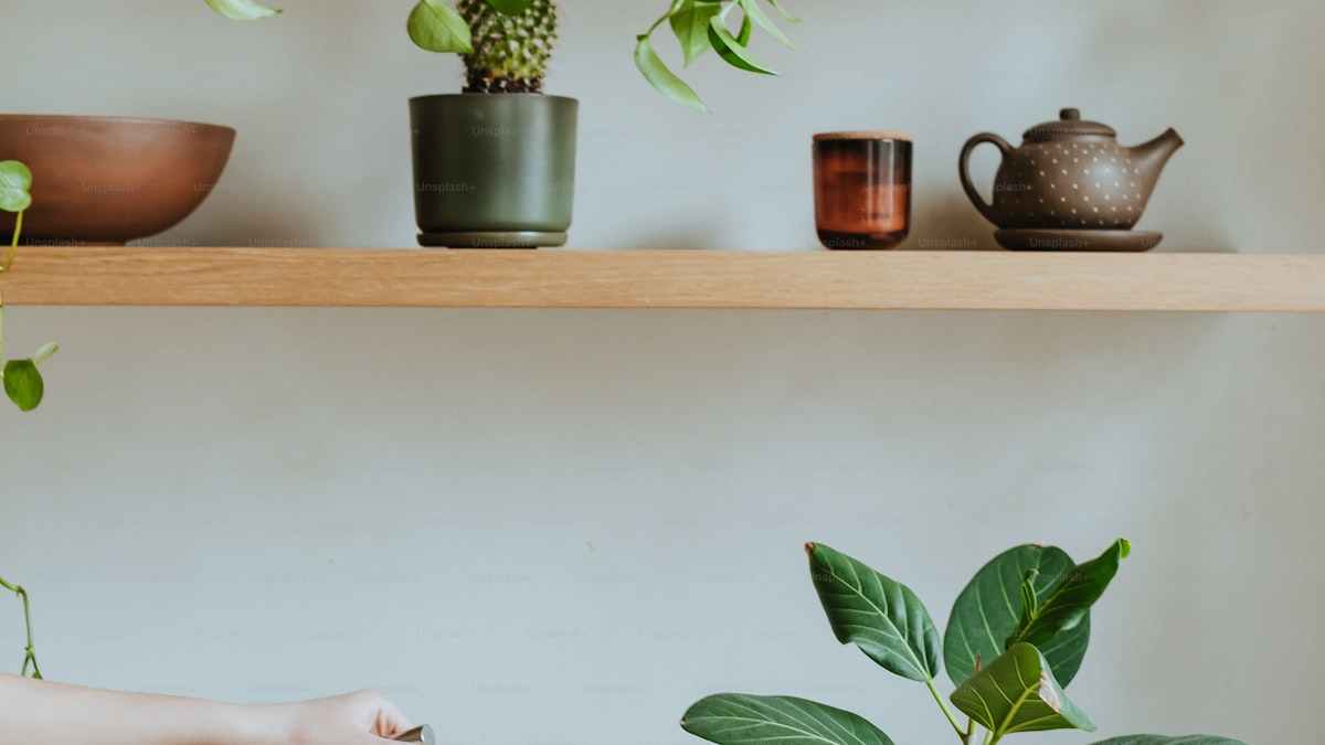 How to Save Money on Coffee Without Giving It Up