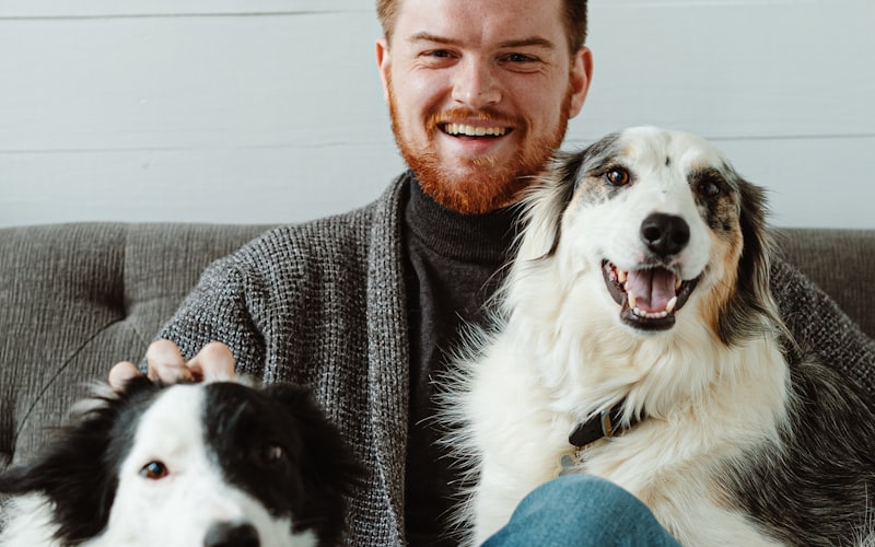 Pet supplies including food bowls and grooming tools