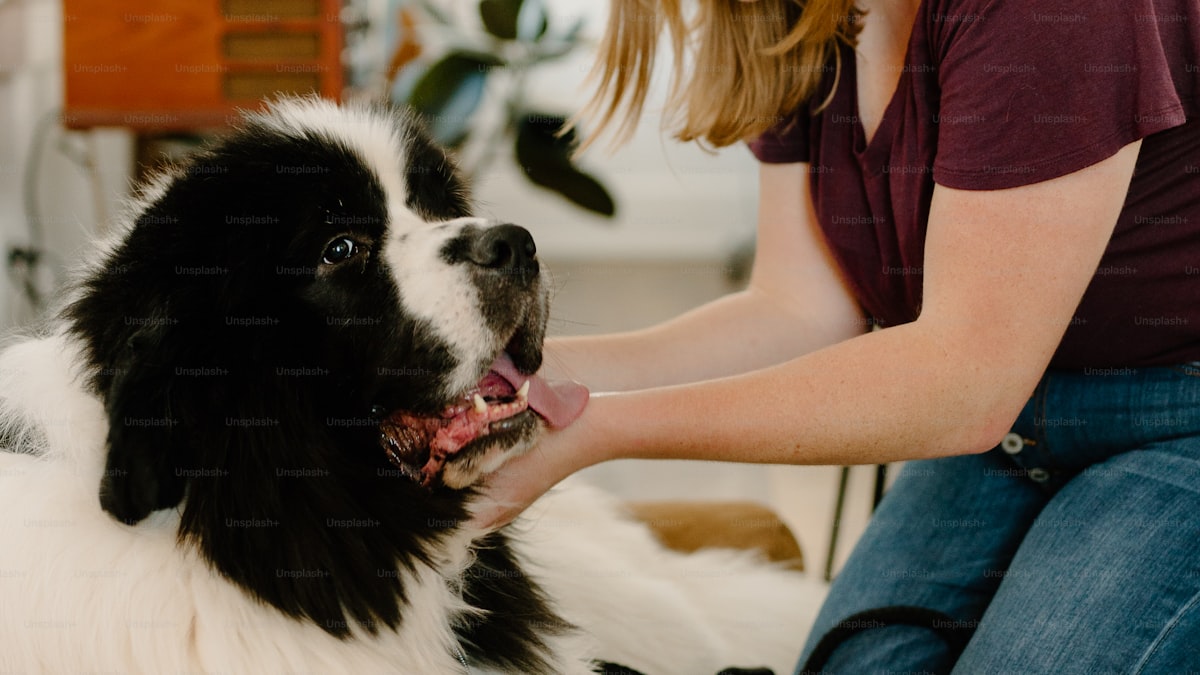 How to Save Money on Pet Care Without Cutting Corners