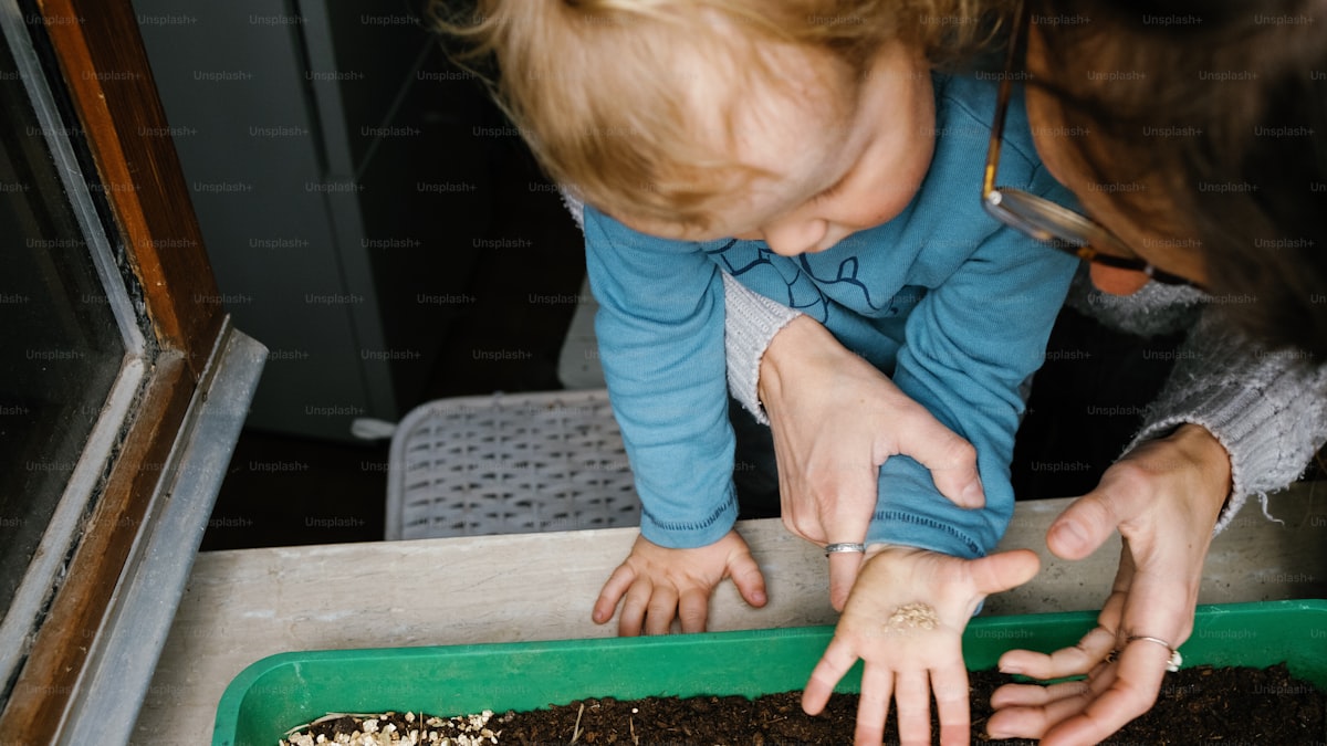 How to Start Seeds Indoors for a Thriving Spring Garden