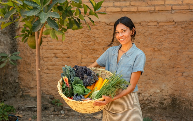 mature kale plants growing in a garden bed