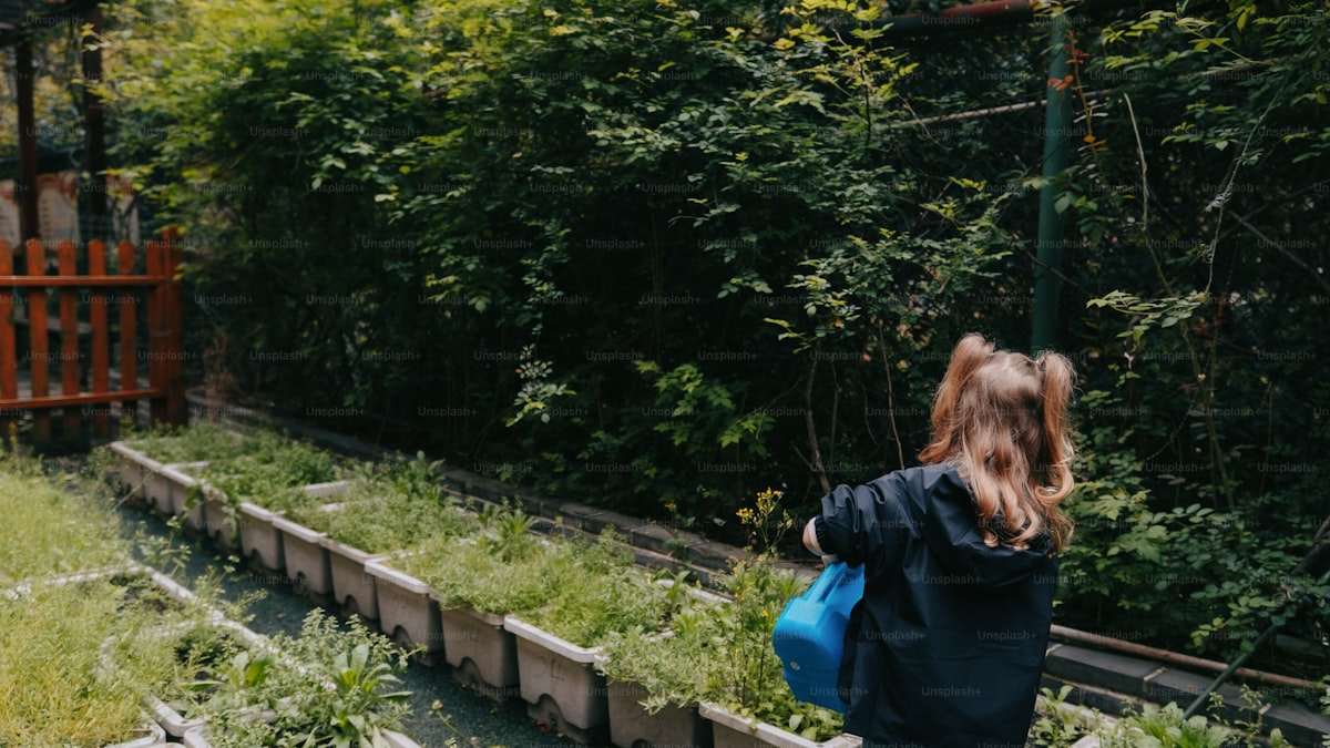 How to Start a Vegetable Garden in Your Backyard (Beginner's Guide)