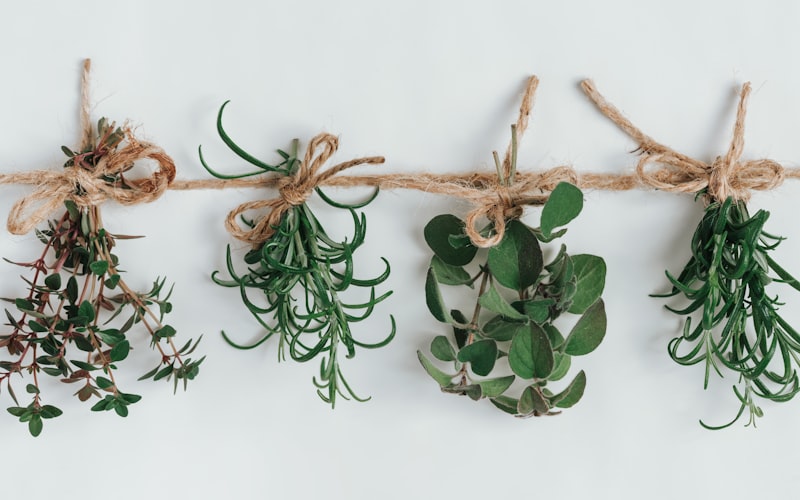Hardy herbs wrapped in a damp towel next to a container, ready to be stored in the fridge