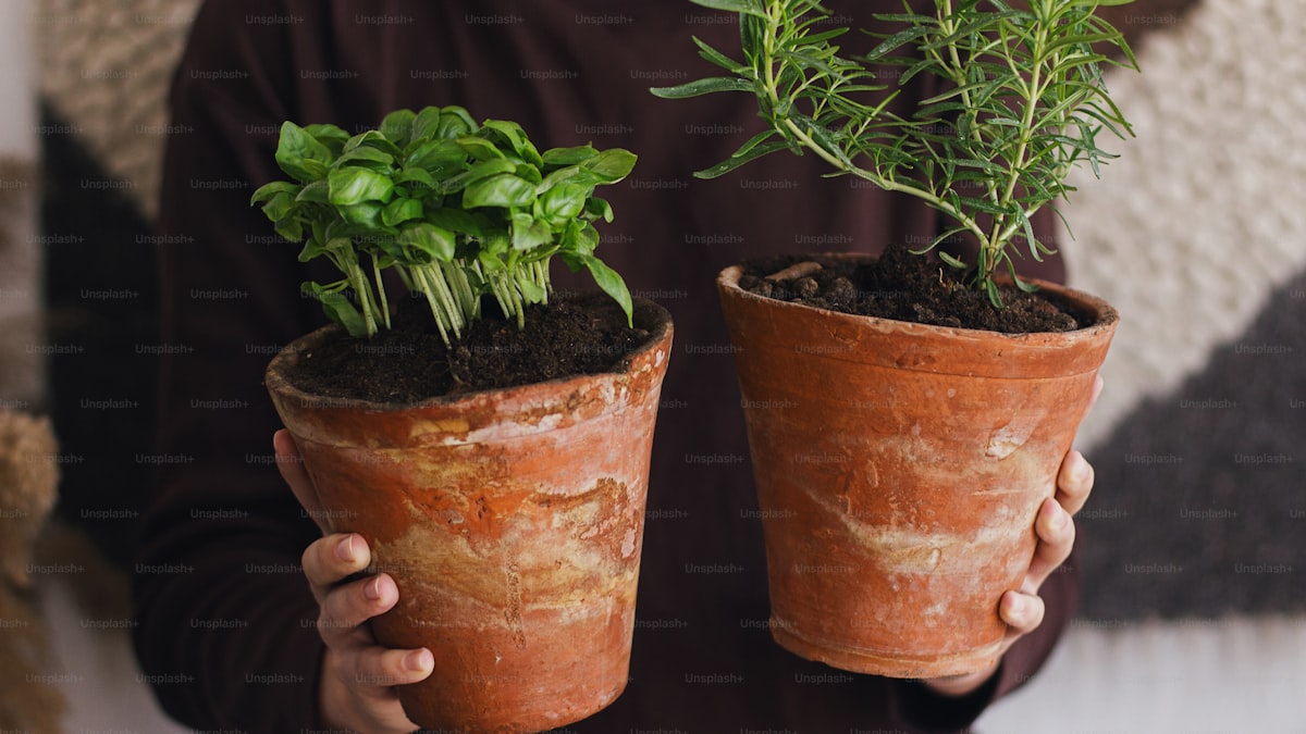 How to Store Fresh Herbs So They Last Weeks, Not Days